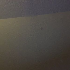 Meet your Posher, Marcy